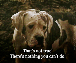zombiekookie:  w3areinfinite:  If this were humans I’d be like “meh, they’ll