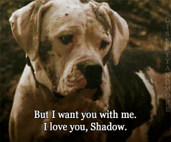 zombiekookie:  w3areinfinite:  If this were humans I’d be like “meh, they’ll