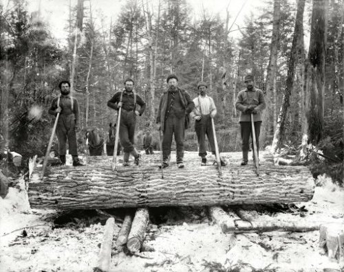 Love Michigander lumberjacks! My great-great-great grandmother and her daughter, my great-great gran