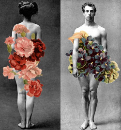 marrypotter:  Collage by Colette Saint Yves 