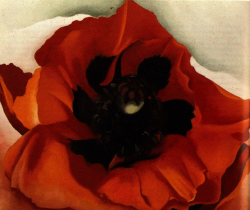  Poppy, Georgia O’Keefe 