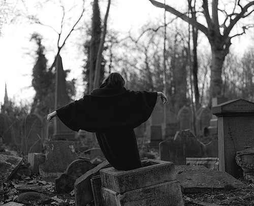 Stranger In A Strange Land