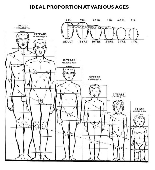 moonjunk: “Ideal Proportions at Various Ages”, from Figure Drawing For All It’s Wo