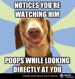 quickmeme:  Disgusting Doggy 