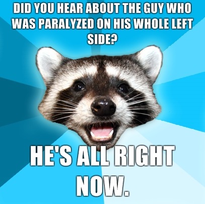 fuckyeahidonteven:  lame pun coon
