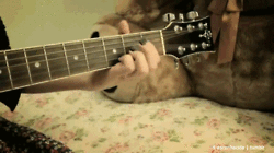 happiness-is-what-matters:  Há momentos em que só a música é capaz de demonstrar