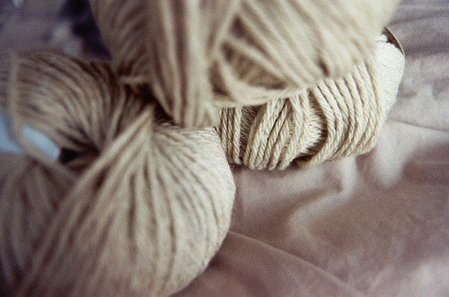 Holiday knitting (by idathue)