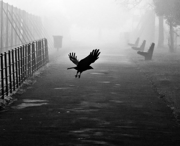 black-and-white:  (via Fog | Smashing Picture) 