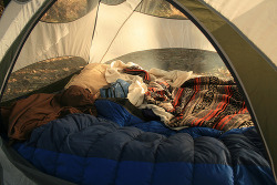 refixable:  i wanna go camping with someone