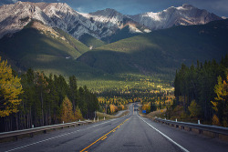 bluepueblo:  Autumn Highway, Alberta, Canada
