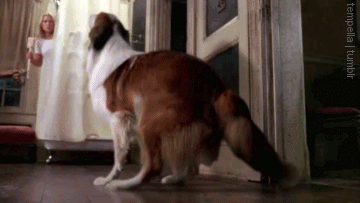 imhereforsookie:  tempella:  Sookie “Holy Ass!”  Thank you true blood for giving us our fair share of men-ass..  : )  BLESS THIS POST.  Oh, how I love you TrueBlood <3