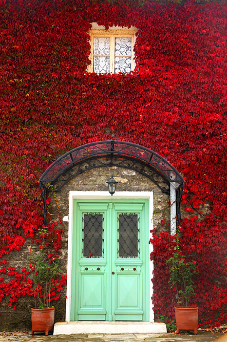 bluepueblo:Green Door, Provence, Francephoto via dangel799