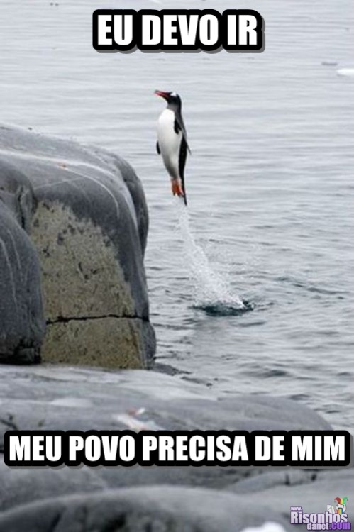 Depois da meia noite ♫