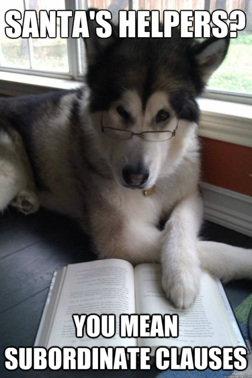 scudmissile: theamericanprospect: Lunch Break: Condescending Literary Pun Dog Sometimes there’