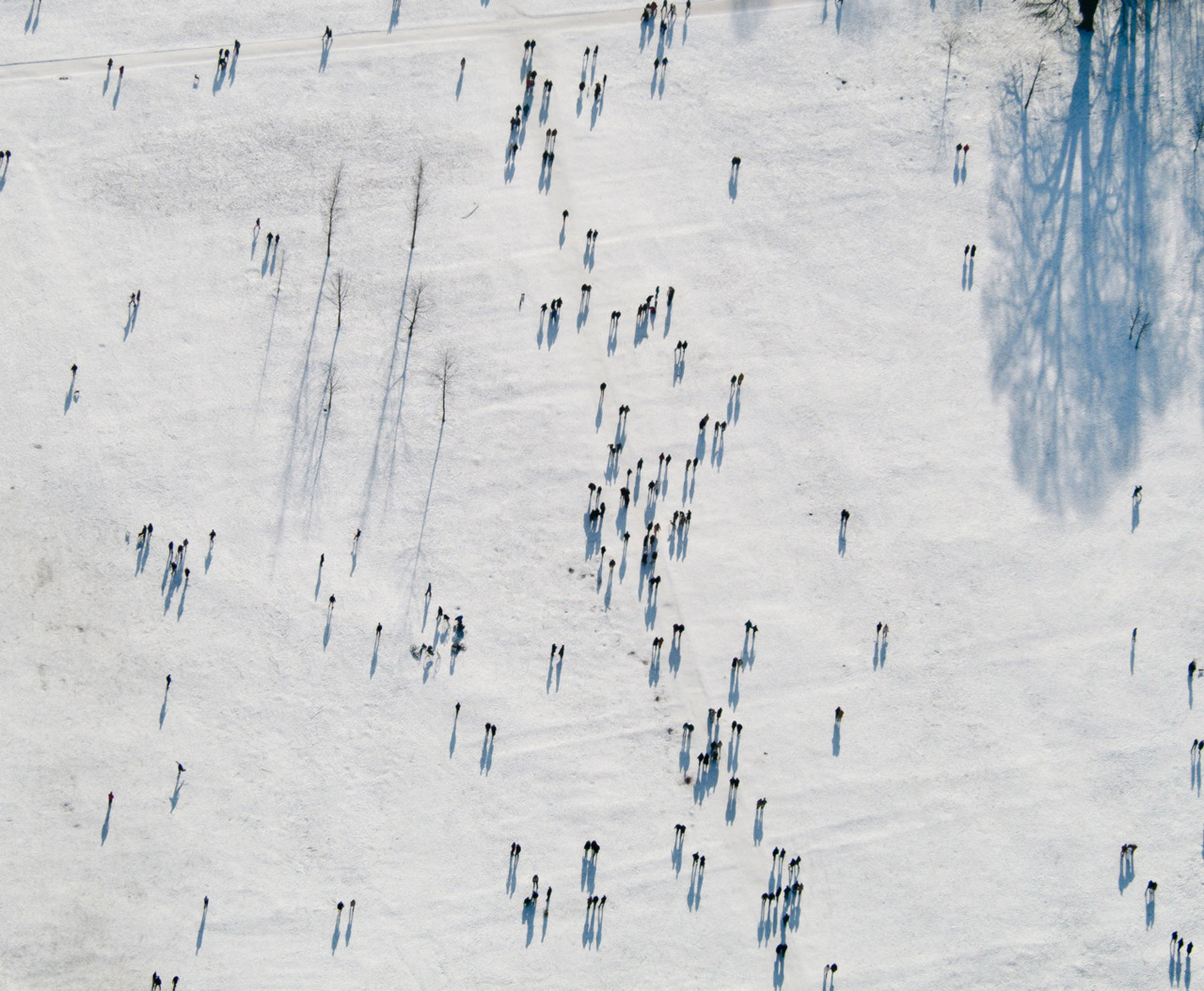 olio-ataxia:  Winter In The ‘Englischen Garten’, Munich (source) 