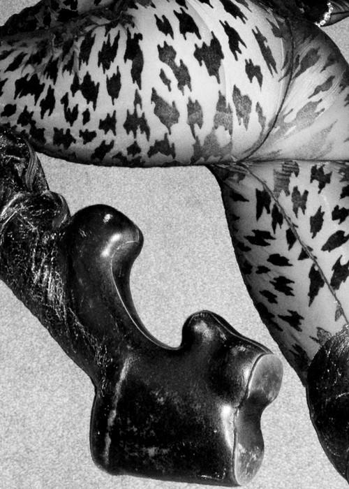 whosaidiwasawoman:  gaga ur fucking killing me