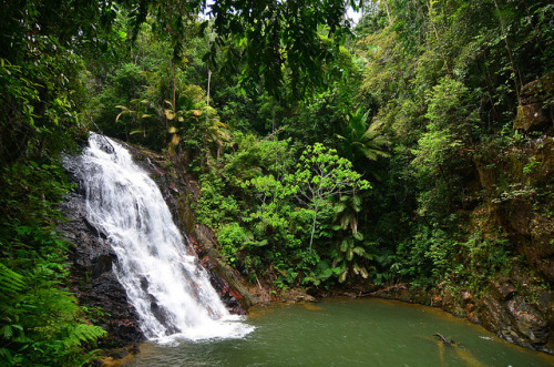 by Nicolas Lannuzel on Flickr.Kota Tinggi Waterfalls is a famous attraction in Kota Tinggi, Johor, M