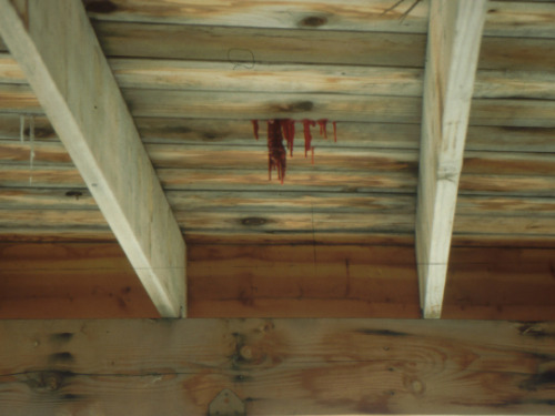  “Investigators found an extremely cold and bloody crime scene. The living room carpet was so drenched with blood that it pooled on the wood planks underneath; the oozing blood formed crimson colored icicles where it leaked through the cabin floorboards.”