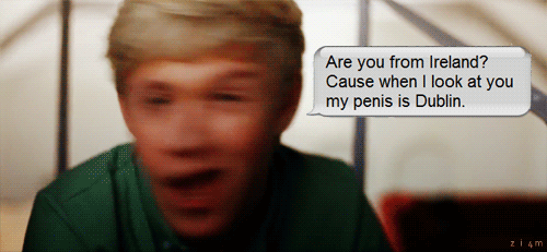 niallsmilesforblaise:  Guys calm down we have nothing to be afraid of. If anything