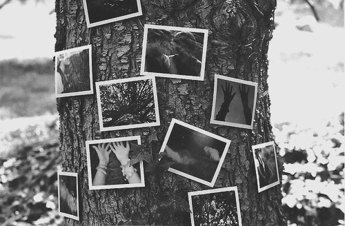 ramonacbranco.tumblr.com/post/61609435347/