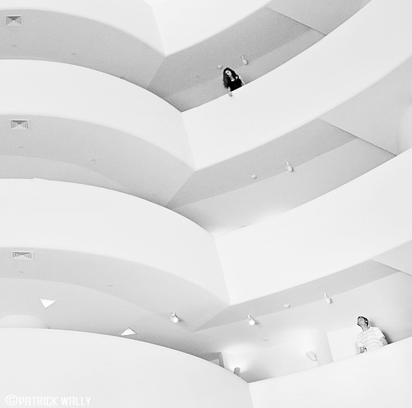 fiore-rosso:  ,guggenheim - patrick wally 