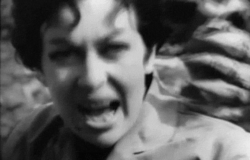 Fucking Elvis