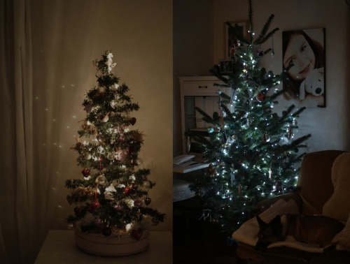 Christmas tree I (yes, that is a unicorn on the top) and almost-finished Christmas tree II (we have yet to put the star on), with my dog.  Feeling very festive, i have TWO Christmas jumpers on (never, ever live in a stone house, a fridge would be