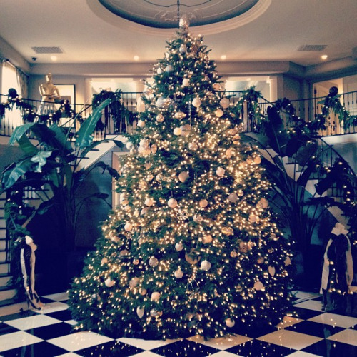  The Jenner’s Christmas Tree 