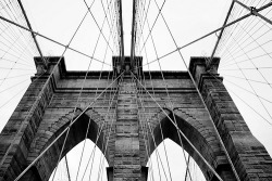 black-and-white:  Brooklin Bridge (by leandro_miranda)