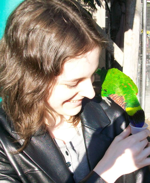 Lorikeets, Aquarium of the Pacific