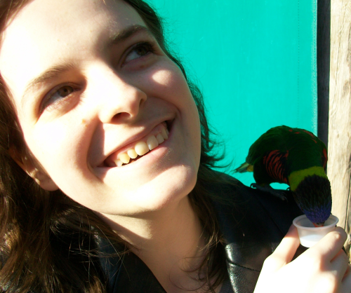 Lorikeets, Aquarium of the Pacific