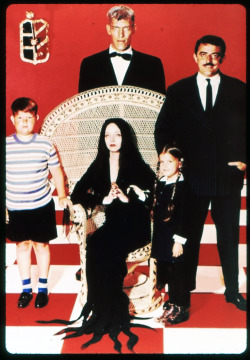 vintagegal:  The Addams Family 1960’s 