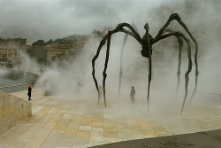 slideandtumble:  Maman, by Louise Bourgeois, outside the Guggenheim Museum, Bilbao, Spain   PHOTO CREDIT: Horatio Law 