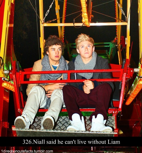 iwantniallhoran:  carrots-potatoes:  And Liam’s said that too  -tears- so bootiful 