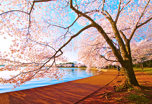 amarefeles.tumblr.com/post/14707046170/