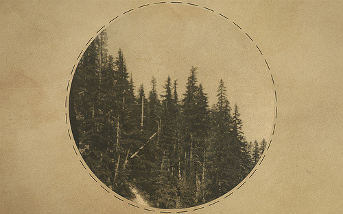 STERLING GRAVES