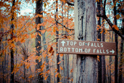 fuck-yeah-fall:  the falls by laine johnson. on Flickr. 