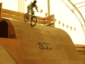 blogdotroll:  Radical 
