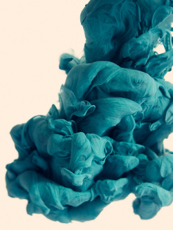 thomforsyth:  DISASTRO ECOLOGICO | Alberto Seveso 