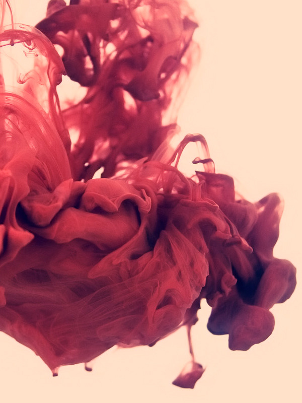 thomforsyth:  DISASTRO ECOLOGICO | Alberto Seveso 