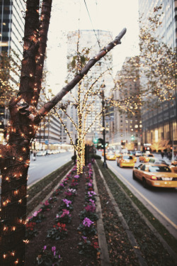 oscarprgirl:  white lights. Park Avenue @ 53rd st.  