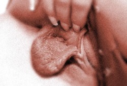 thick labia being spread.Â 