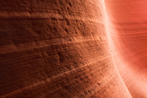 Grand Staircase National Monument, southern Utah (by Light of the Wild)