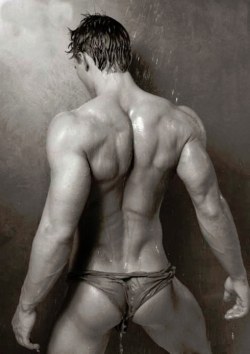 hungcockleo23:  I’m really into sexy backsides