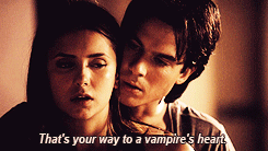 poisonrain:  Delena alphabet.  Vampire.  If you come back as a vampire, I’ll
