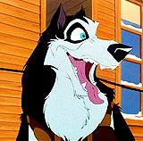 siriuslylost:   Five animated movies I will love until my dying day → 3. Balto (1995)   “Let me tell you something, Balto. A dog cannot make this journey alone, but… maybe a wolf can.”     
