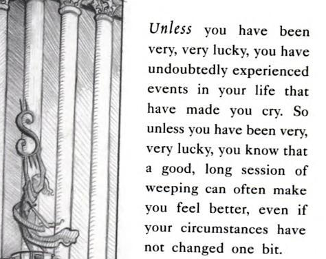  Lemony Snicket, The Bad Beginning 