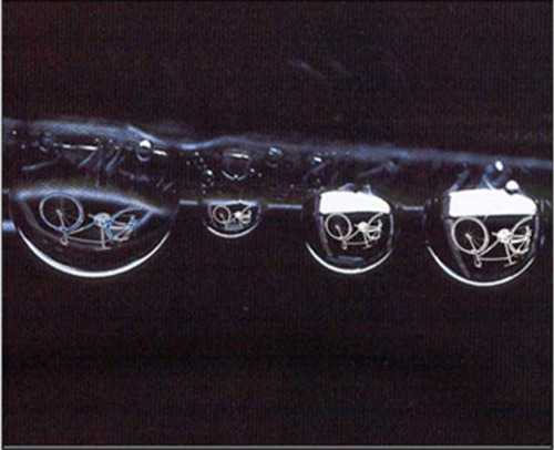 thebicycleisart: like fine rain´drop