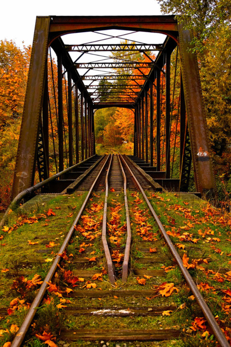 bluepueblo:  Autumn Railroad Bridge, Vermont photo via touchn2btouched 