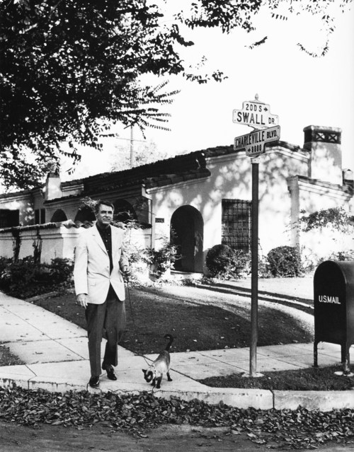 mattybing1025:1960:  Cary Grant takes a Siamese cat for a walk outside his home.